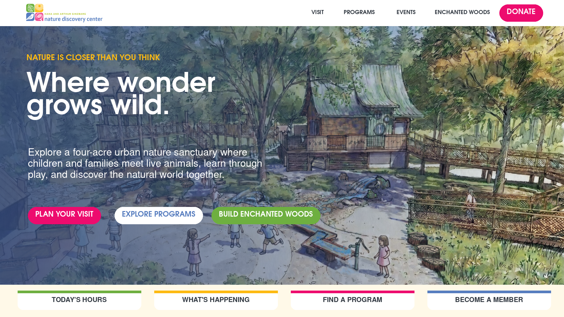Nature Discovery Center homepage design section 1
